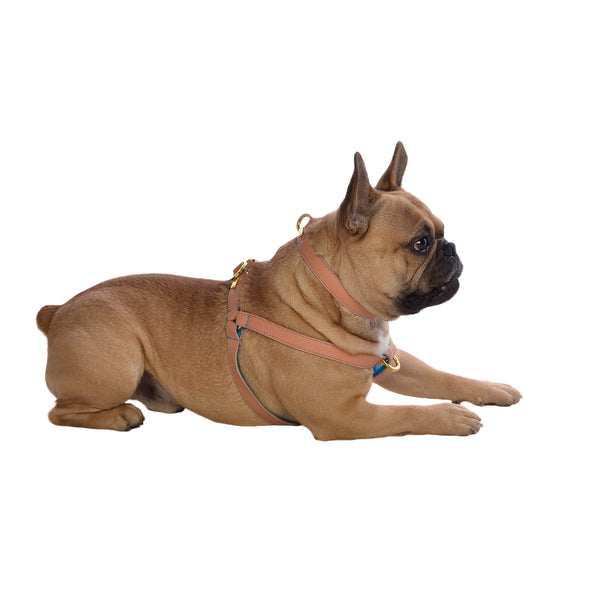 Dog Harness in Soft Rose Gold Leather with Wool felt – lurril