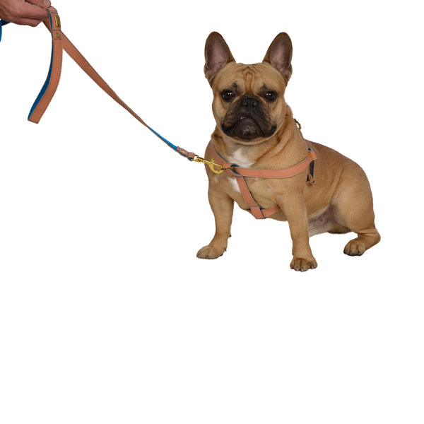 Dog Harness in Soft Champagne Leather with Wool felt – lurril