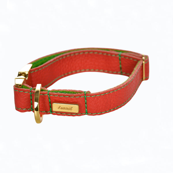 Dog Collar in Soft Champagne Leather with Wool felt – lurril