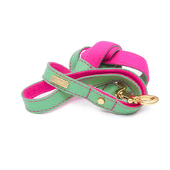 Dog Leash in Soft Mint Leather with Wool felt - lurril