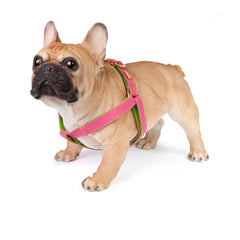 Dog Harness in Soft Pink Leather with Wool felt - lurril