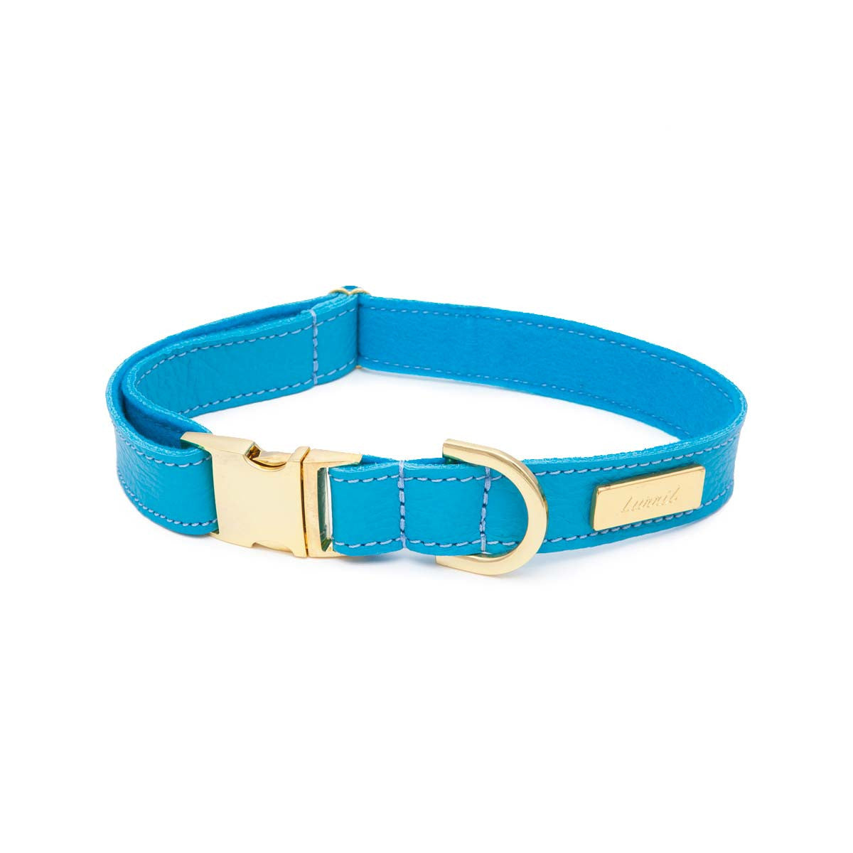 Turquoise best sale dog collar