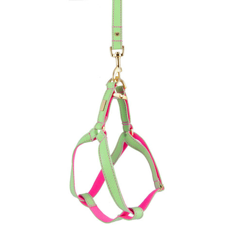 Dog Harness in Soft Mint Leather with Wool felt - lurril