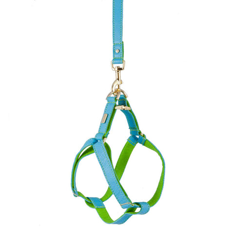 Dog Harness in Soft Turquoise Leather with Wool felt - lurril