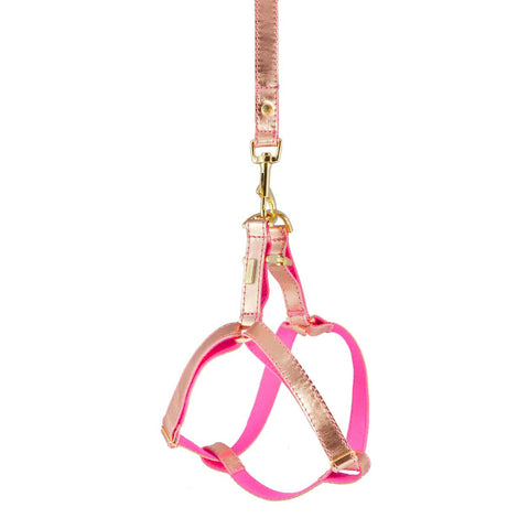 Dog Harness in Soft Rose Gold Leather with Wool felt - lurril
