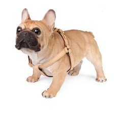 Dog Harness in Soft Champagne Leather with Wool felt - lurril