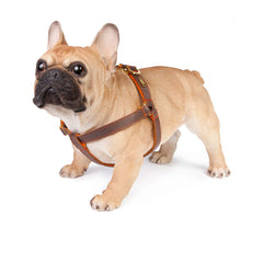 Dog Harness in Soft Chocolate Brown Leather with Wool felt - lurril