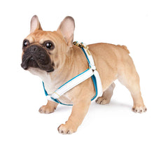 Dog Harness in Soft White Leather with Wool felt - lurril