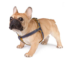 Dog Harness in Soft Blue Leather with Wool felt - lurril